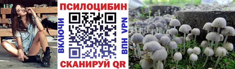 Псилоцибиновые грибы MAGIC MUSHROOMS  Купить  Жирновск 
